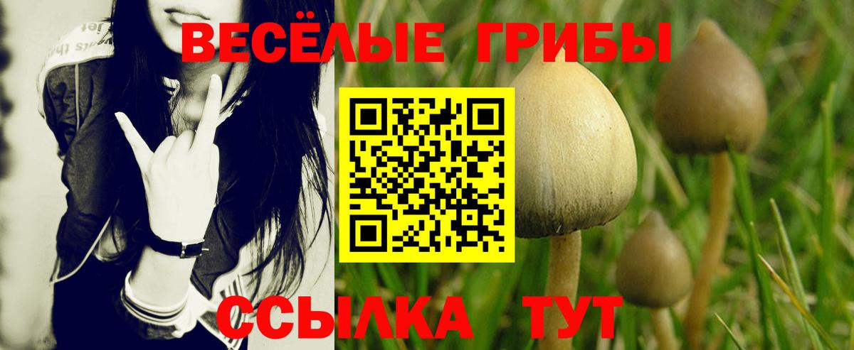 Псилоцибиновые грибы мухоморы  Вход с VPN  цены   Костомукша 